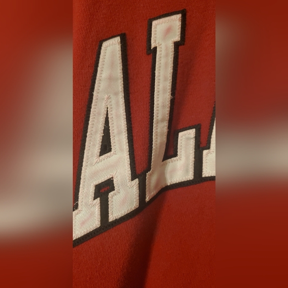 ALABAMA Unisex Hoodie - Picture 3 of 5